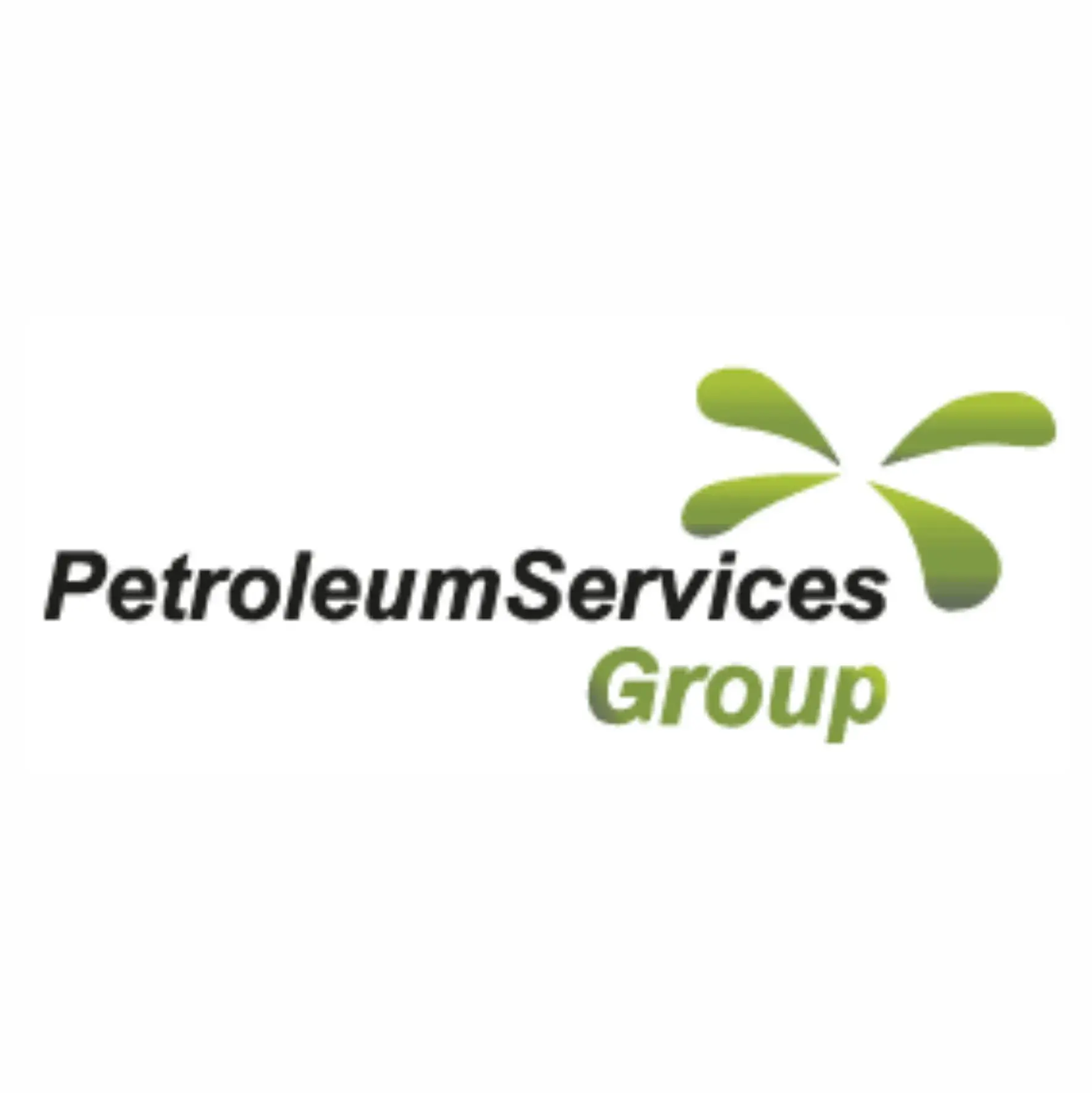 PETROLEUM SERVICES GROUP